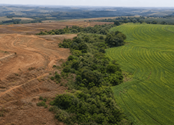 Lideranças defendem integração entre clima, biodiversidade e solo no Rio