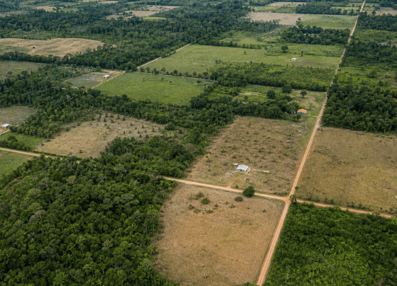 Acordo entre MDA e Vale prevê assentamento de 640 famílias no Pará