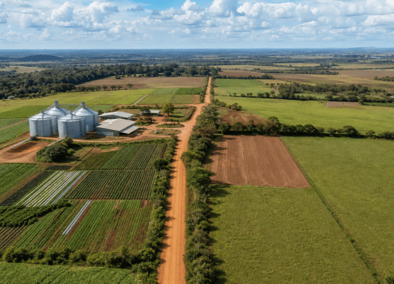 Mato Grosso do Sul recebe 1.390 títulos e novos investimentos para assentamentos