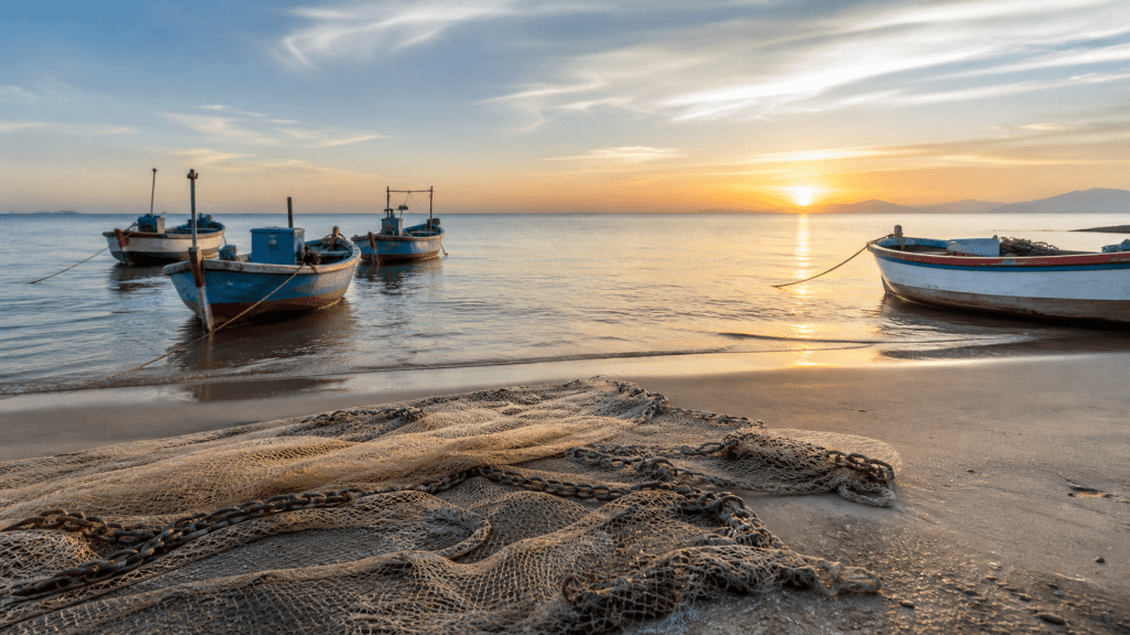 Pesca de tainha por arrasto de praia é suspensa após limite da cota ser atingido