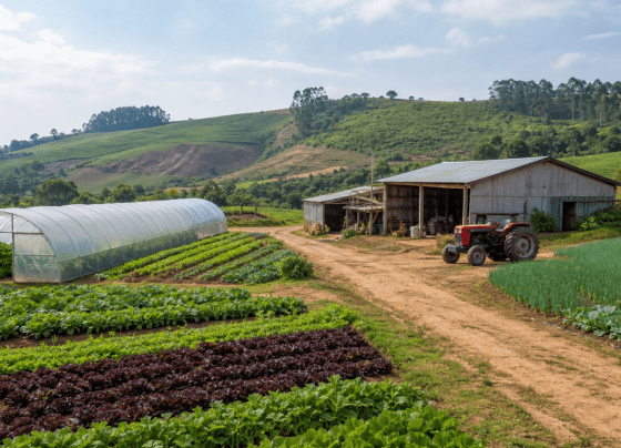 Política de valorização da mulher rural avança em comissão da Câmara