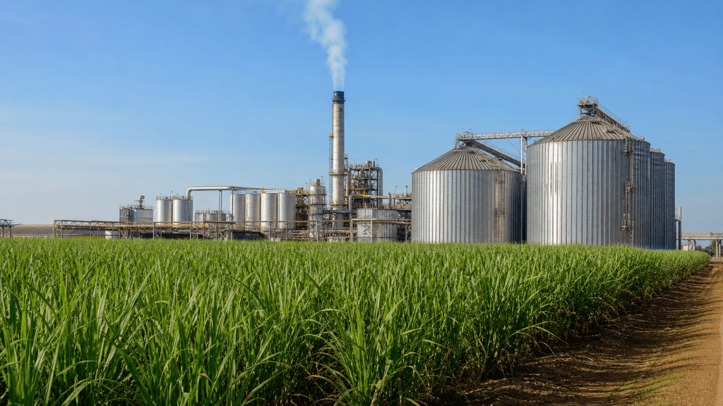 Produção da agroindústria cresce 1,8% em abril, informa FGVAgro