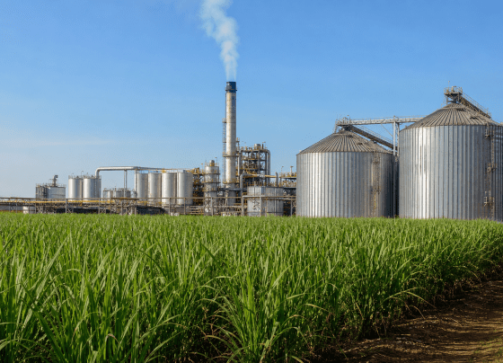 Produção da agroindústria cresce 1,8% em abril, informa FGVAgro