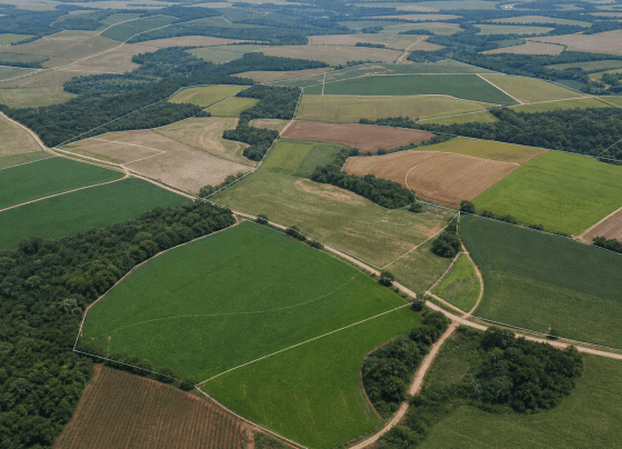Projeto que suspende demarcação de terra indígena no Paraná avança na Câmara