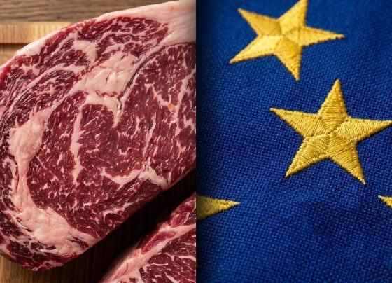 União Europeia barra carne bovina brasileira