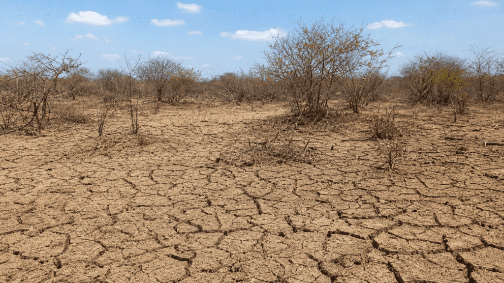 Seminário em Recife debate desertificação e justiça ambiental no Semiárido