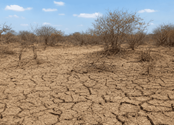 Seminário em Recife debate desertificação e justiça ambiental no Semiárido