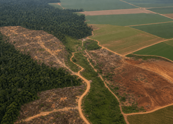 Seminário na Câmara vai discutir crimes ambientais, agronegócio e fundos de investimento