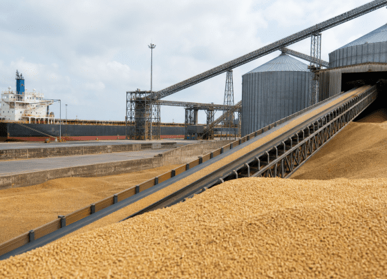 USDA informa venda de 190 mil toneladas de farelo de soja dos EUA para as Filipinas