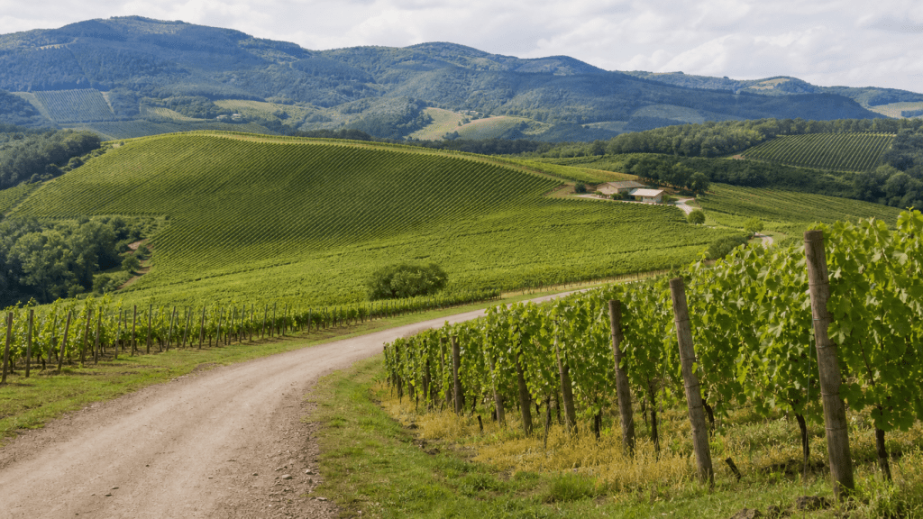 Turismo rural em Santa Catarina será debatido em audiência na Câmara