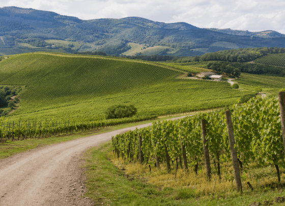 Turismo rural em Santa Catarina será debatido em audiência na Câmara