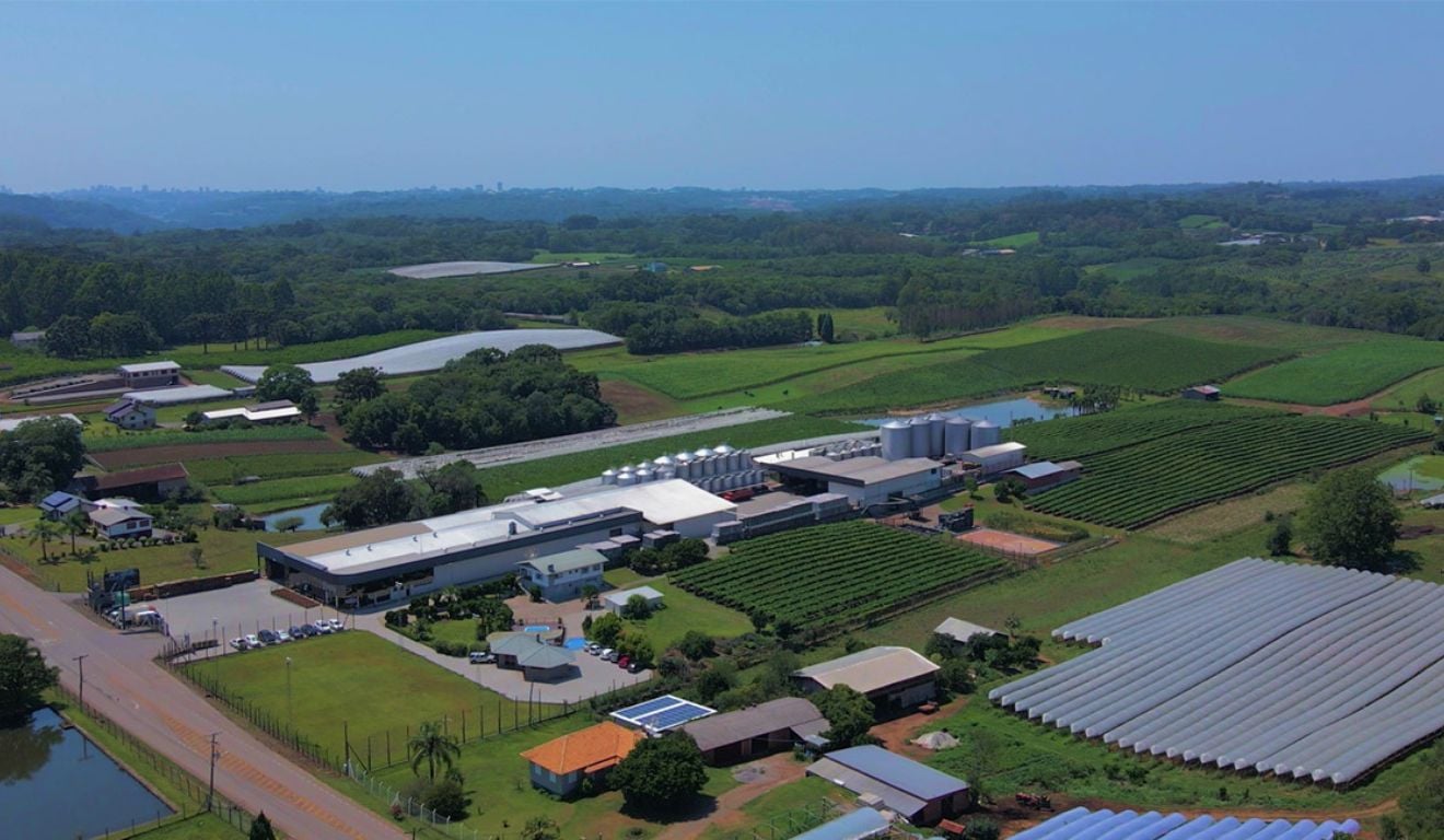 Vinícola gaúcha amplia parcerias na Europa e reforça atuação no mercado brasileiro de vinhos