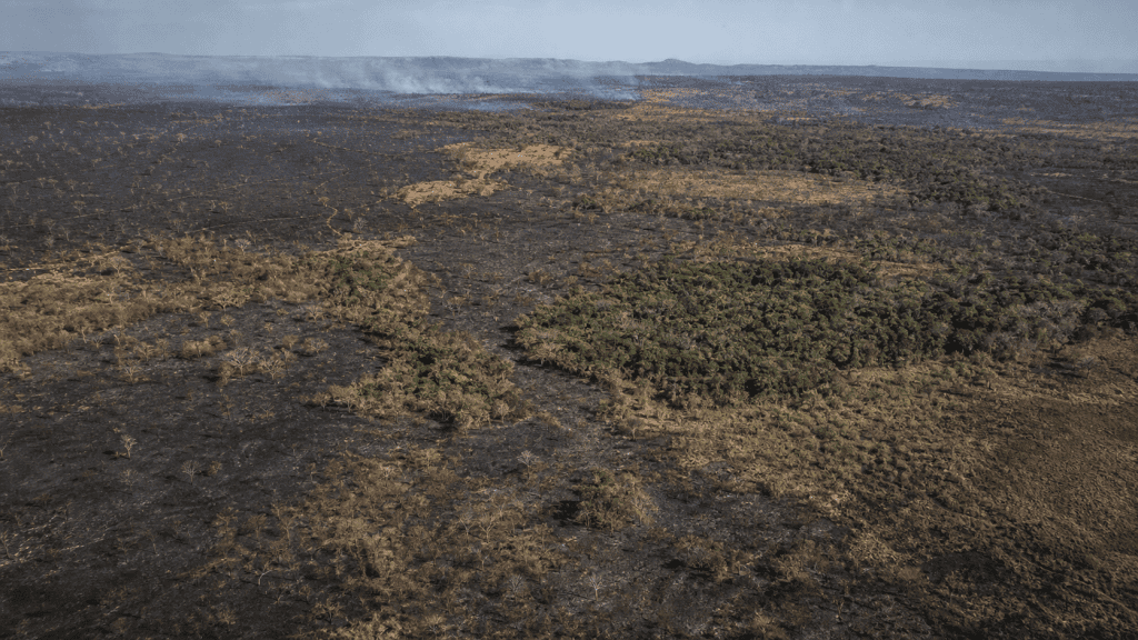 Área queimada no Brasil cai 31% em 2025, aponta MapBiomas