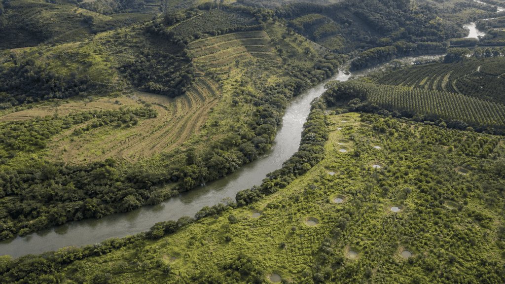 Edital destina R$ 618,75 milhões para restaurar 12,5 mil hectares na Bacia do Rio Doce