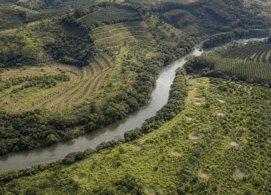 Edital destina R$ 618,75 milhões para restaurar 12,5 mil hectares na Bacia do Rio Doce