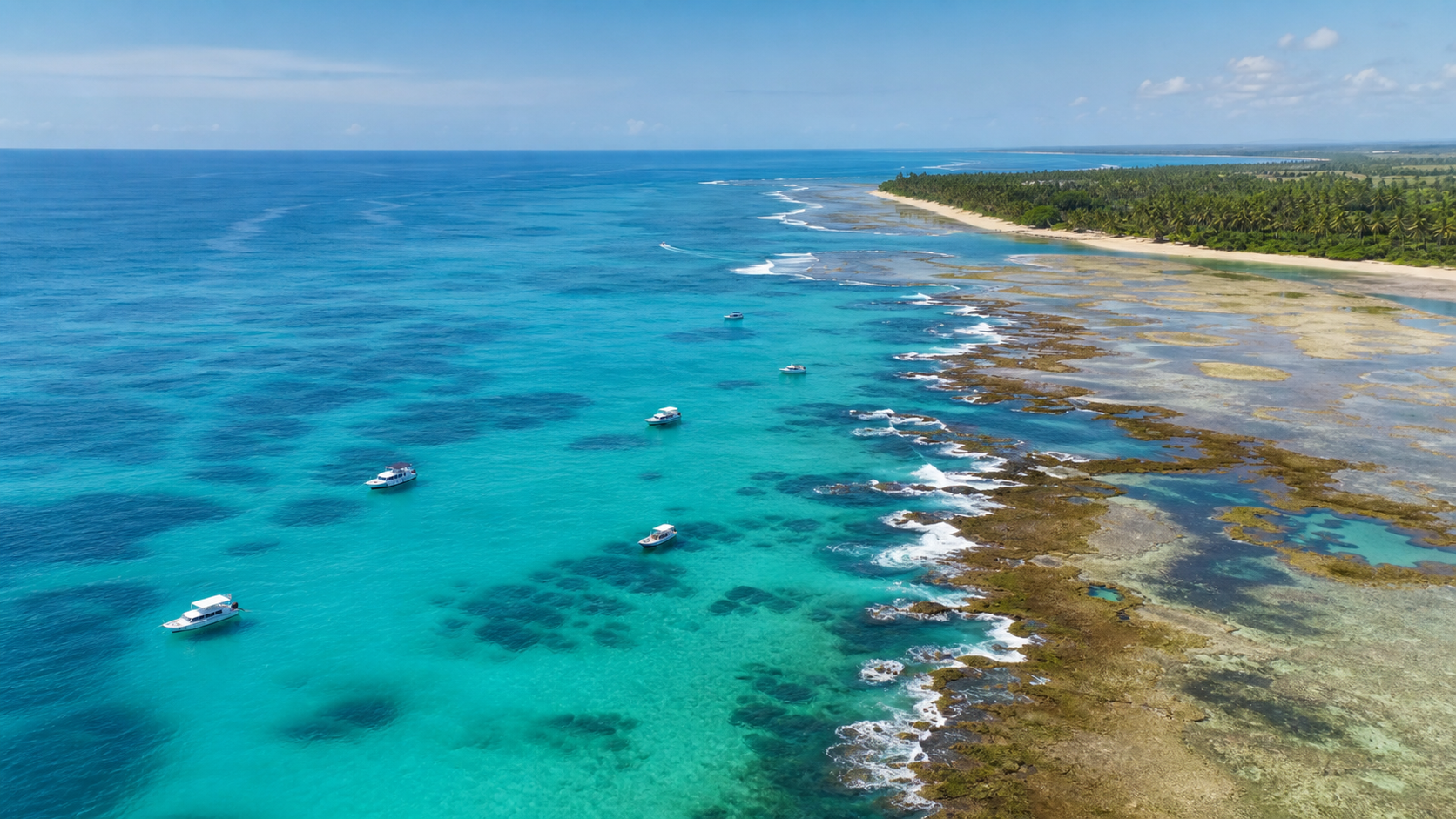 Estudo aponta que ruído de barcos afeta comunicação sonora de peixes
