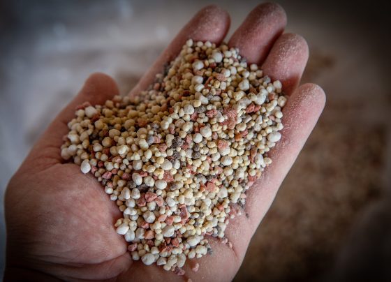 fertilizantes
