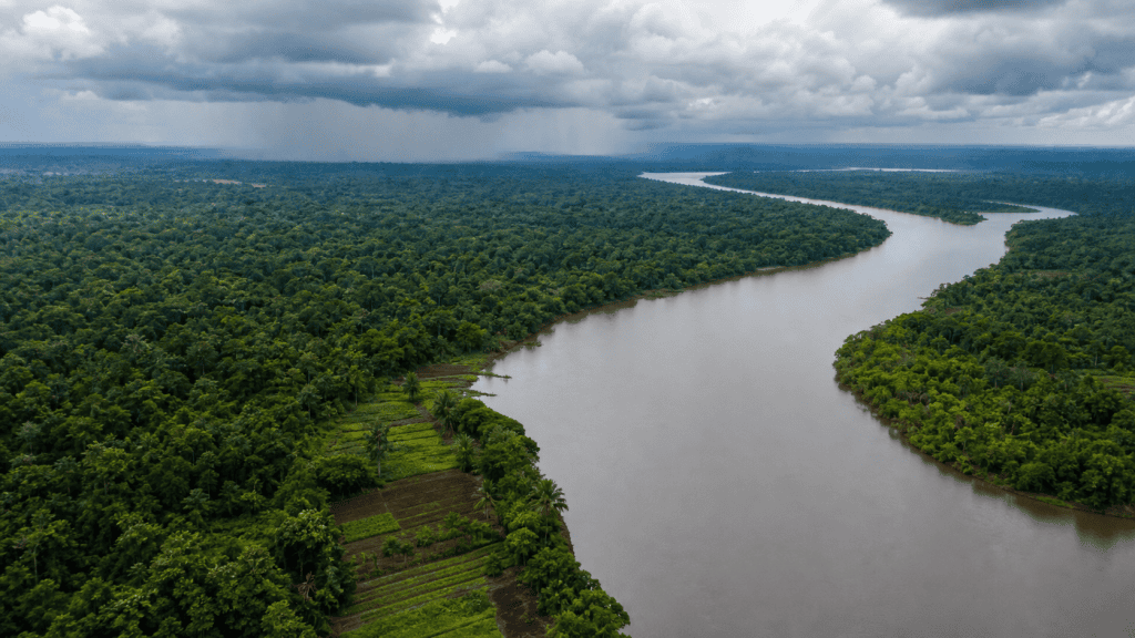 Projeto cria diretrizes de segurança alimentar climática para a Amazônia Legal