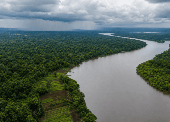 Projeto cria diretrizes de segurança alimentar climática para a Amazônia Legal