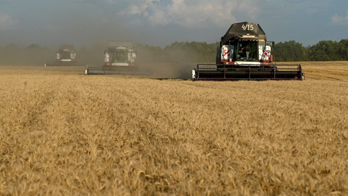 Trigo Sobe com Riscos da Guerra na Ucrânia e Perspectiva Otimista do USDA sobre Estoques Globais