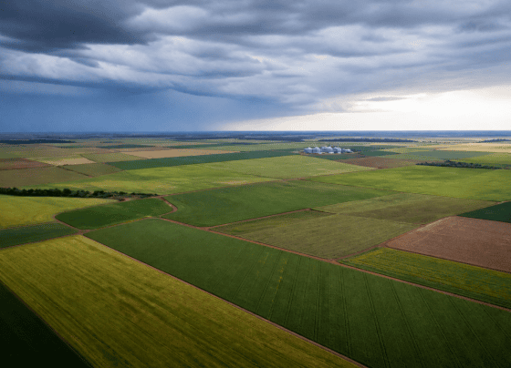 Estudo da FGV-Agro relaciona renegociação de dívidas a expansão do seguro rural