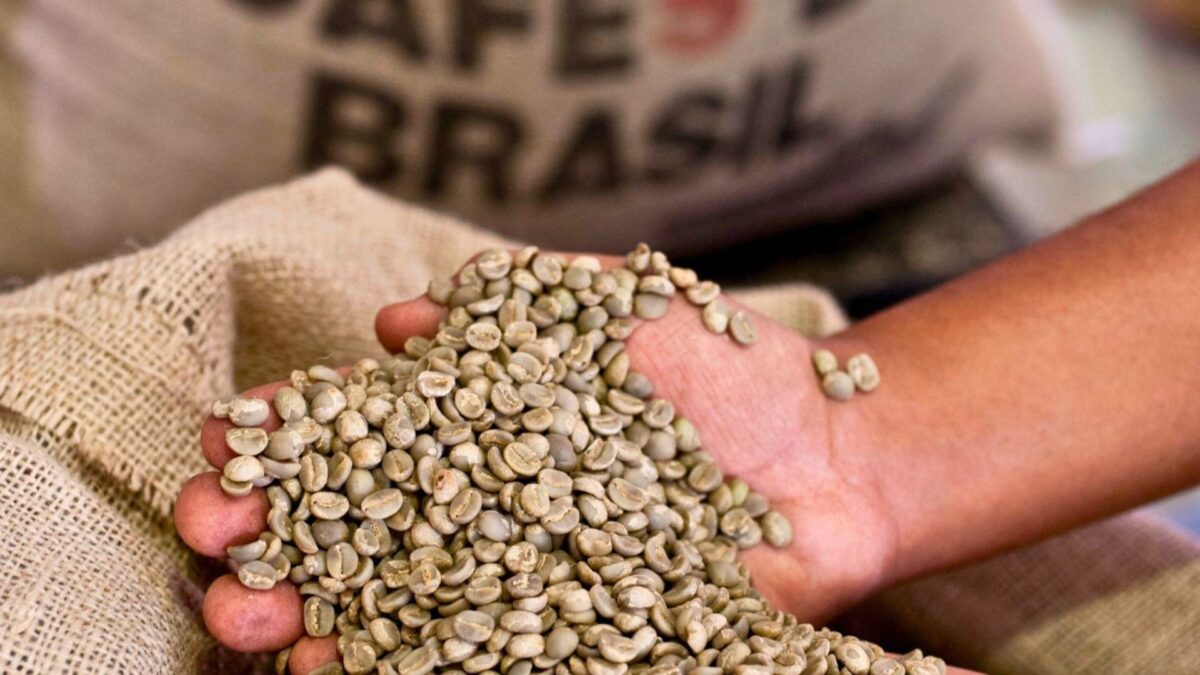 Hedgepoint Mantém Projeção de Safra de Café do Brasil em Recorde