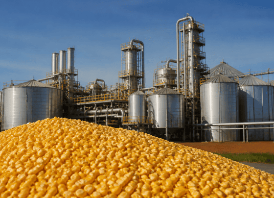 Uso de milho para etanol nos EUA cai 1% em junho, informa USDA