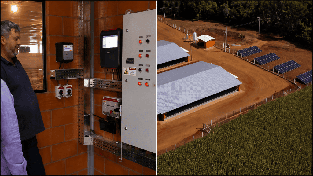 produtor setor elétrico granja (1)