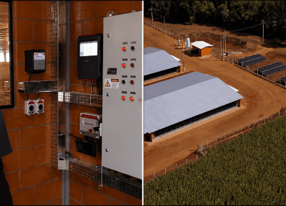 produtor setor elétrico granja (1)