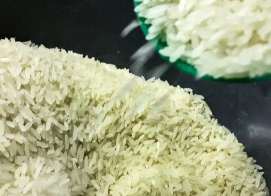 arroz
