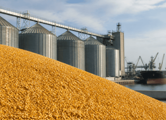Vendas semanais de milho dos EUA somam 1,05 milhão de toneladas, informa USDA