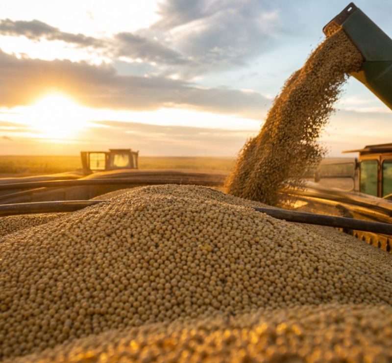 Brasil Expande Exportações Agropecuárias com 211 Novos Mercados em 2025