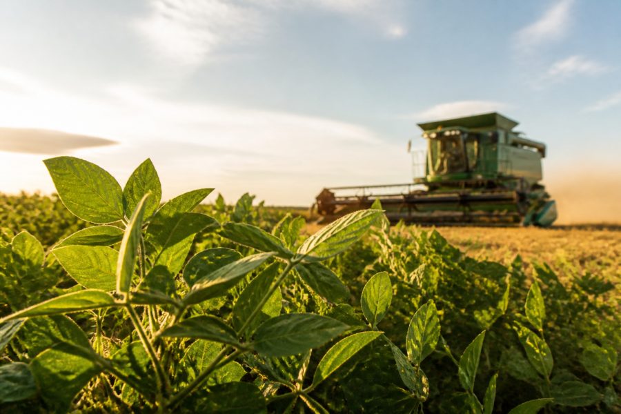 Acordo Mercosul-UE: O que o Agronegócio Brasileiro Pode Esperar