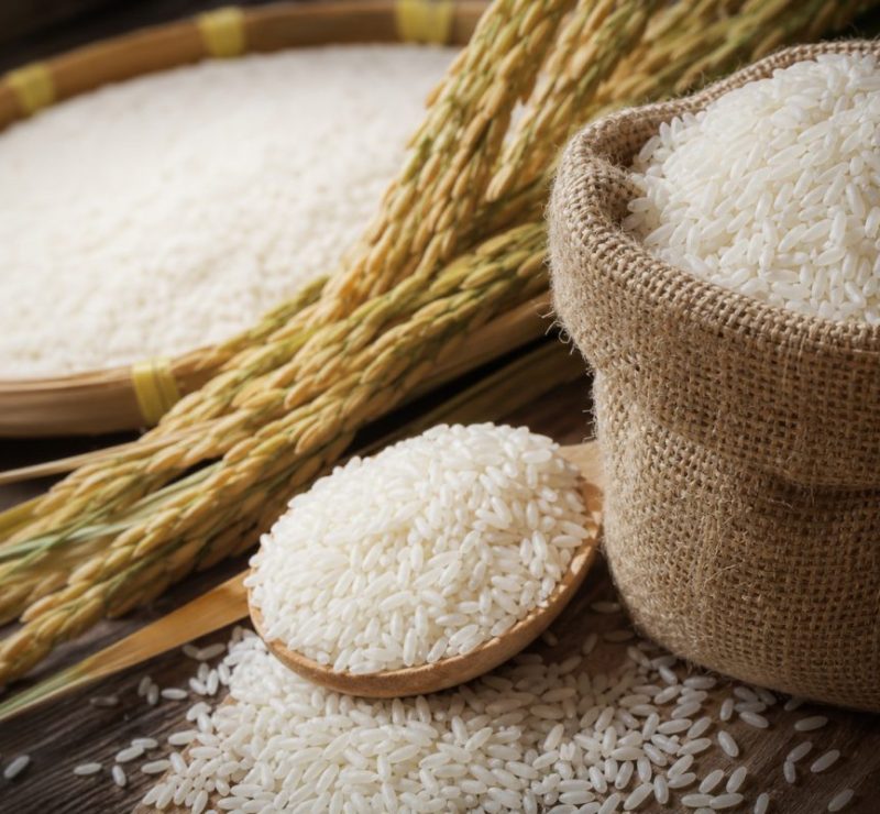 Alta de 22% no preço do arroz no RS: temores de El Niño influenciam