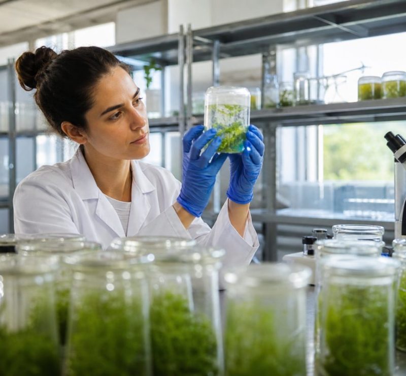 Biobanco de algas: preservação genética e inovação no agro brasileiro