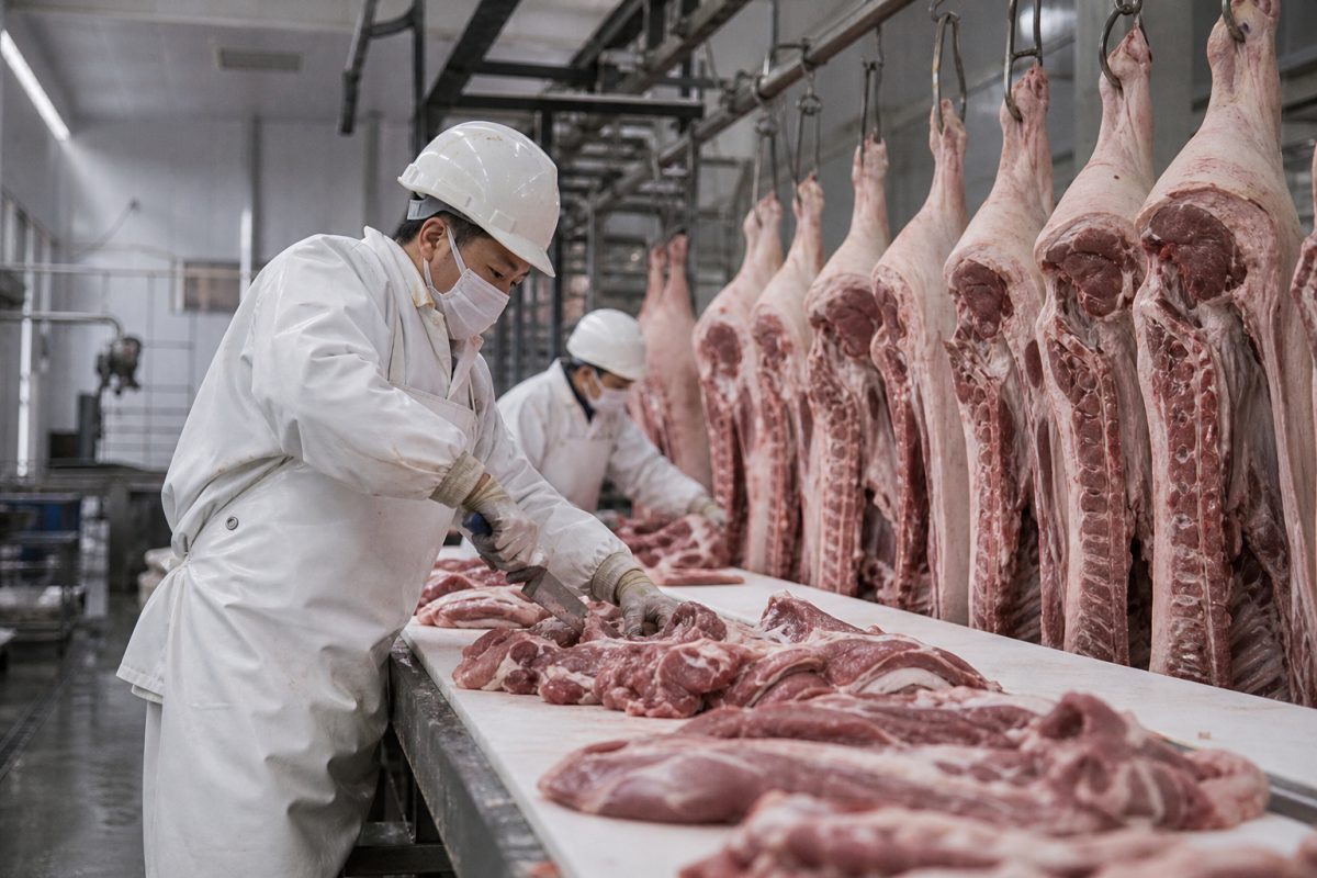 China Reduz Tarifas para Carne Suína da UE após 18 Meses de Investigação