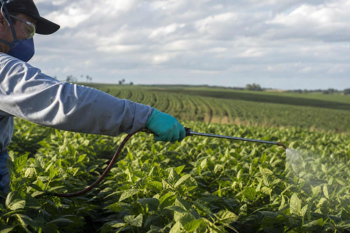 Fertilização foliar pode elevar produtividade e corrigir deficiências nutricionais nas lavouras