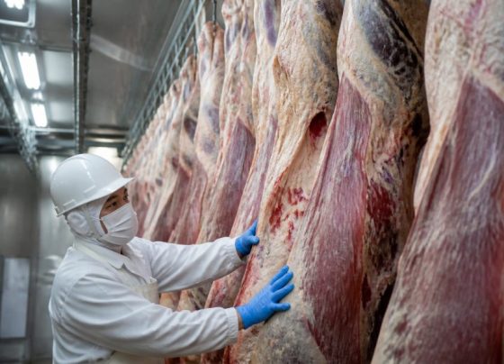 Frigoríficos de MT aumentam exportações de carne bovina para a Espanha em 172% em julho