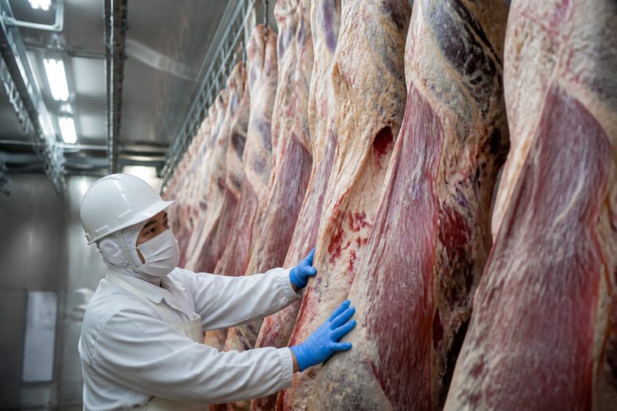 Frigoríficos de MT aumentam exportações de carne bovina para a Espanha em 172% em julho
