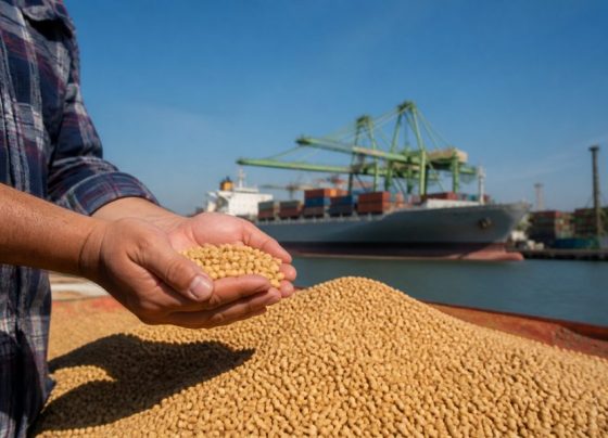 O Papel Estratégico do Comércio Internacional na Agricultura