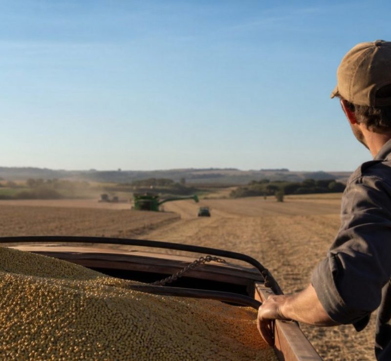 Projeções indicam PIB do agronegócio a R$ 3,13 trilhões até 2026