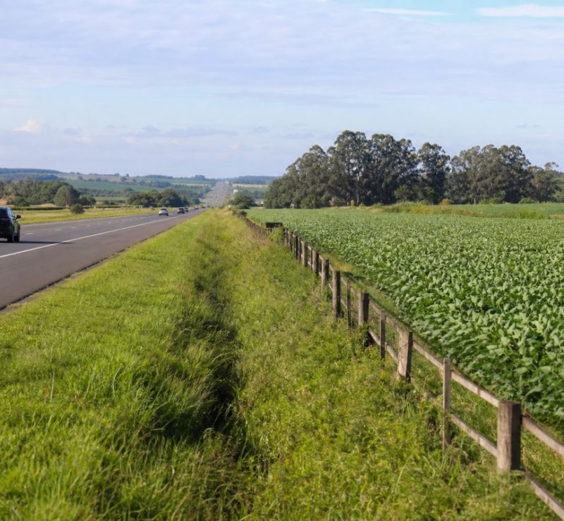 Cultivo de Lavouras Temporárias em Rodovias Rurais é Autorizado