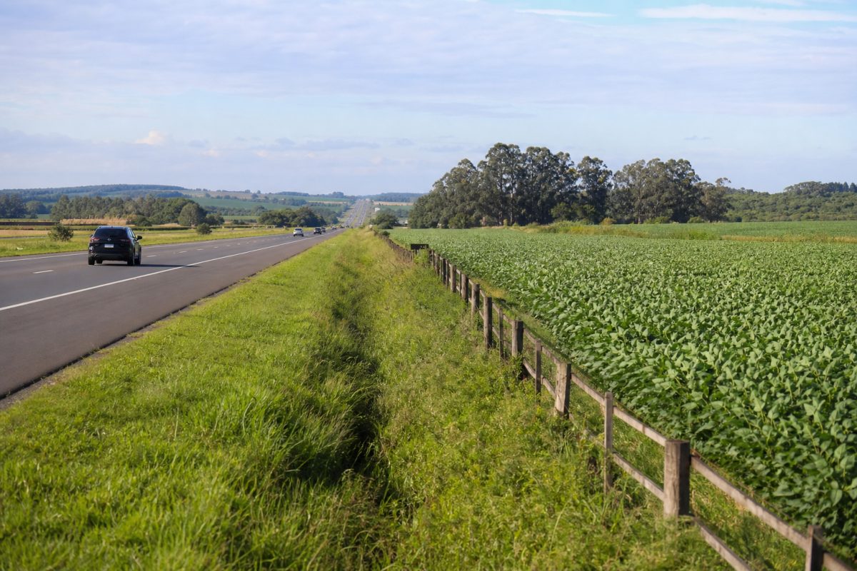 Projeto autoriza cultivo de lavouras temporárias às margens de rodovias no Brasil