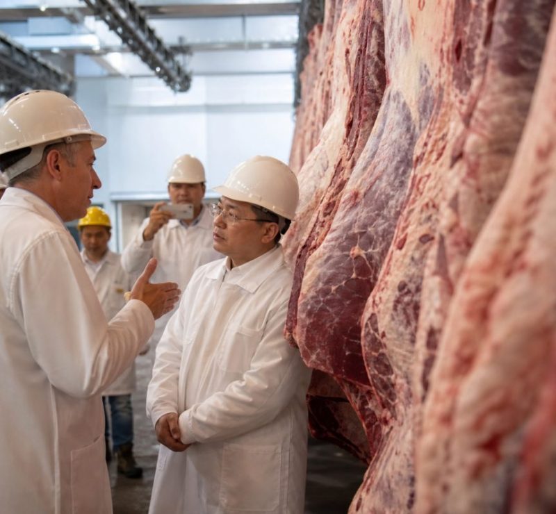 Brasil e China: Parceria na Pecuária de Corte vai Além da Carne