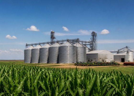Renan Santos defende manutenção de subsídios ao agronegócio