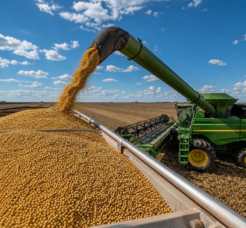 Soja brasileira registra alta e preços nos portos atingem recorde em 3 anos