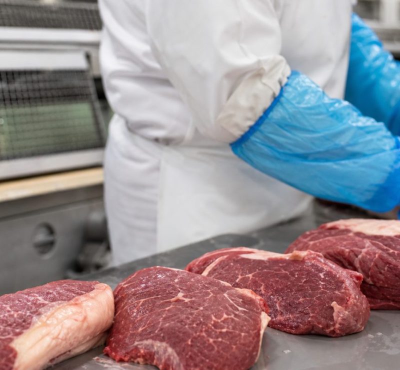 Brasil pode ficar sem exportar carne bovina para a UE por 2 anos