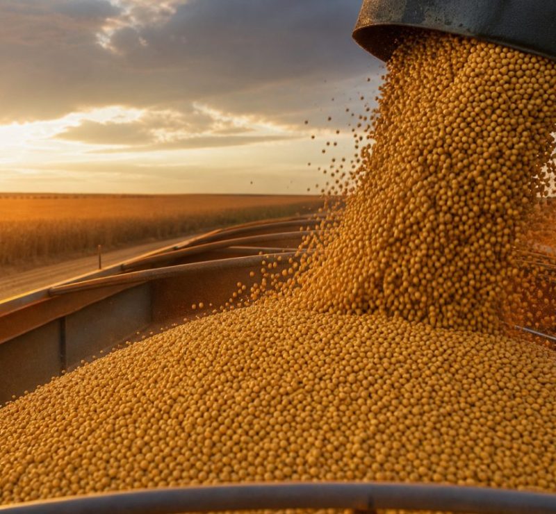 Comercialização de soja no Brasil cresce com alta de preços internacionais