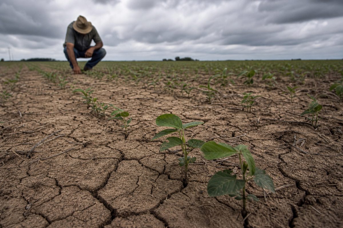 El Niño ameaça plantio da soja e exige ajustes no manejo da safra de verão 2026/27
