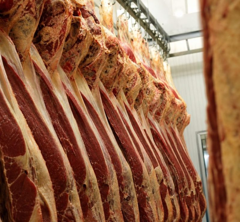 Exportação de carne bovina brasileira cai em agosto, mas preços sobem